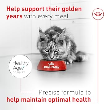 ROYAL CANIN Feline Health Nutrition Aging 11+ Dry Cat Food for Seniors, Kibble Rich in Energy for Cats Over 11 Years, Supports Optimal Health & Vitality, 6 lb Bag