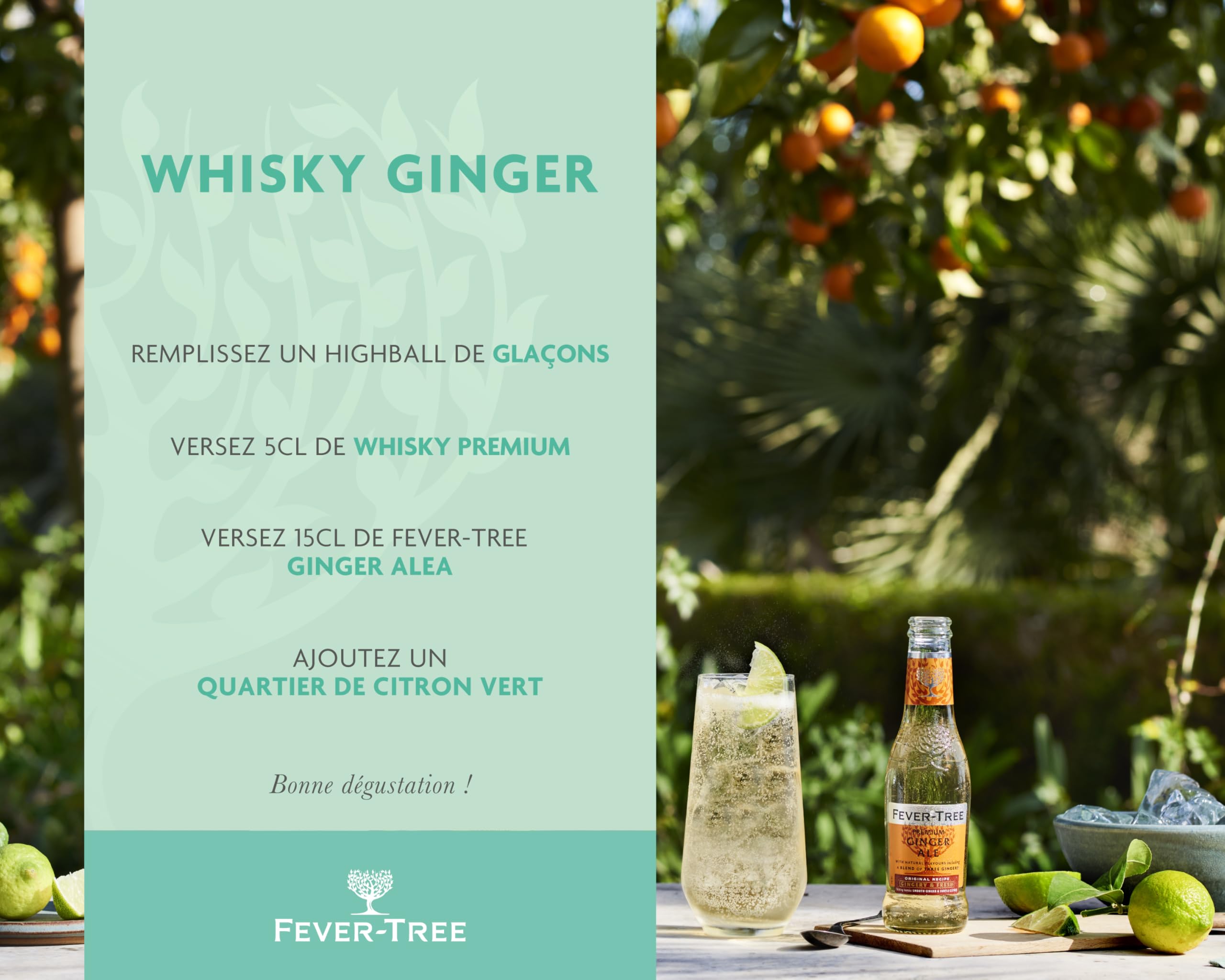 FEVER-TREE - 6 Packs de 4 Bouteilles de Premium Ginger Ale - Soda Gingembre -Pour des cocktails d'exception