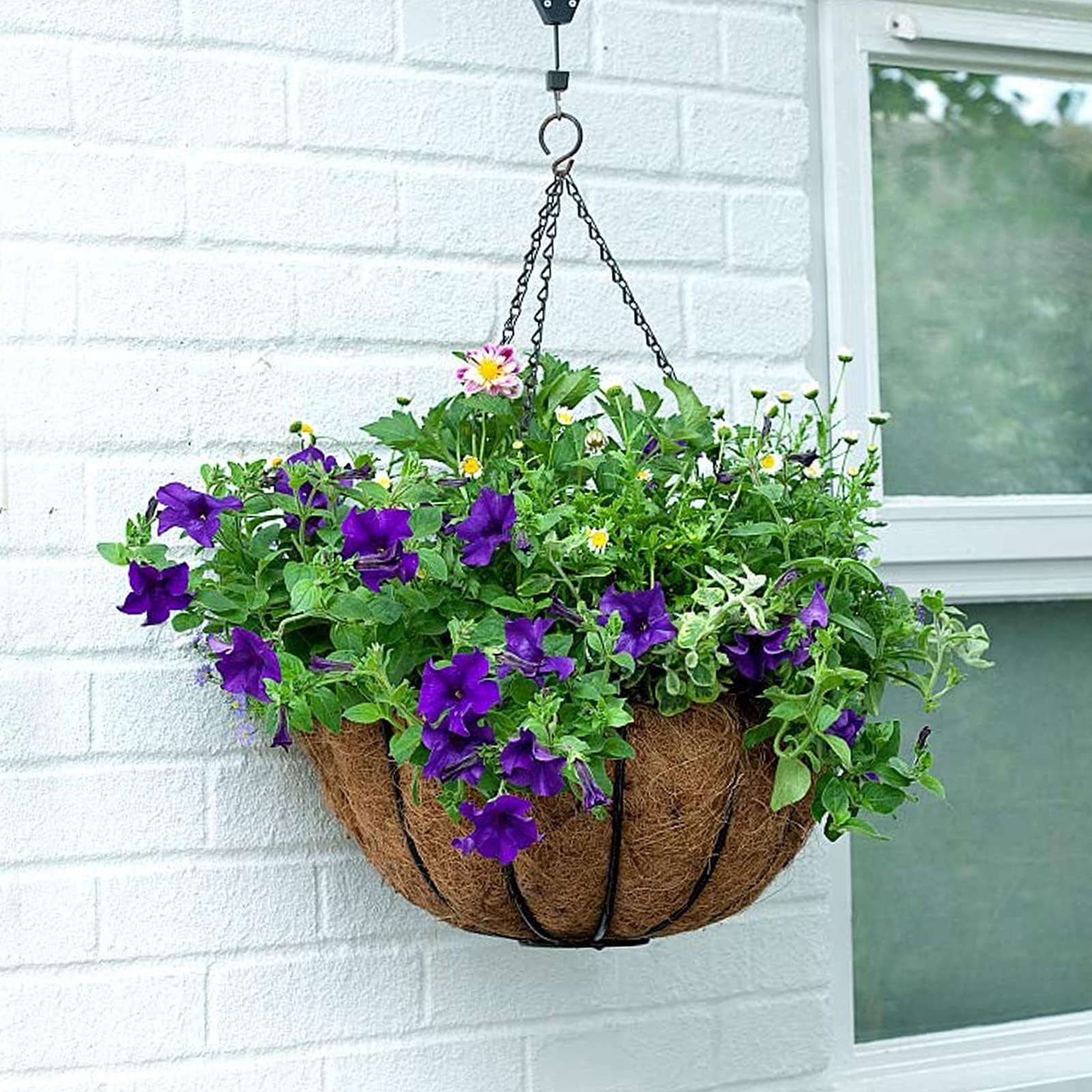 EEEKit Round Hanging Basket Liners: 3PCS 12 Inch Natural Coco Fiber Liners | Wat