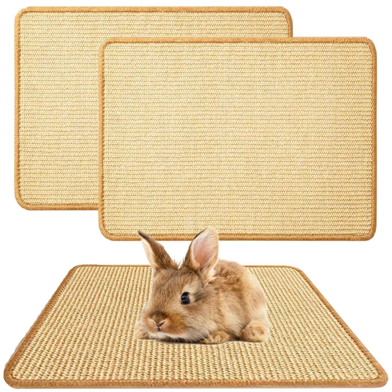 Oncpcare 2-in-1 Rabbit Scratch Mat - Natural Bunny Scratching Pad, Claws & Teeth Care, 60x40cm, 60 x 40 cm