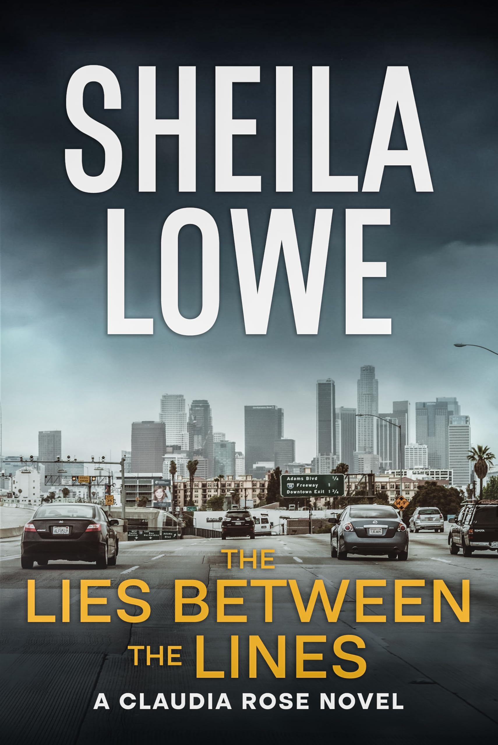 The Lies Between the Lines (Claudia Rose Forensic Handwriting Mysteries Book 10)
