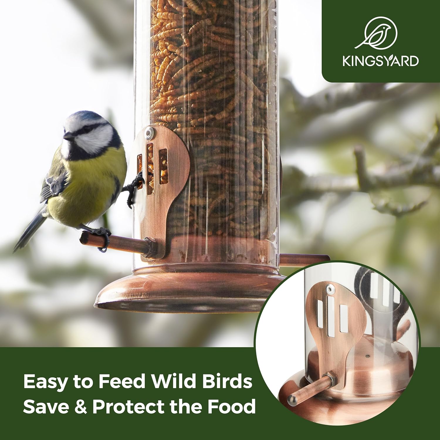 Kingsyard Mealworm Bluebird Feeder for Outdoors Hanging - Tube Bird Feeders for Outdoors Hangin