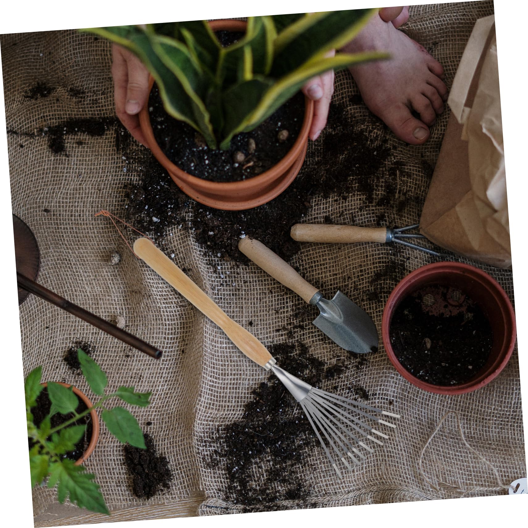 Rastrillo de Jardín para Césped con Mango Herramienta de Jardinería de Nueve Dientes para Limpiar Parterres y Céspedes