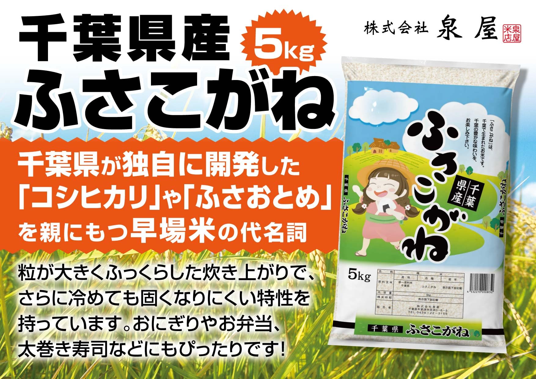 Amazon.co.jp: 新米 令和8年産 千葉ふさこがね 5kg×2 10kg 千葉県産