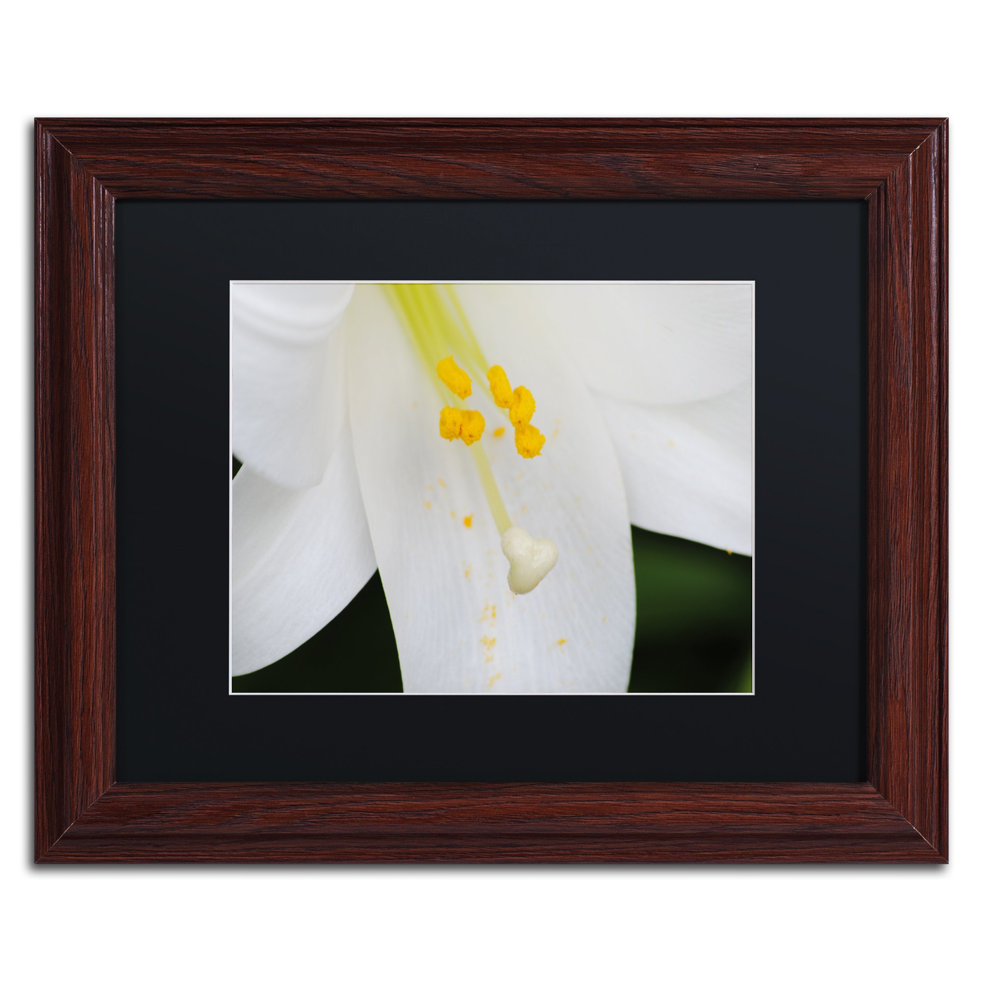 Adore You by Monica Mize Wood Frame, 11" x 14", Black Matte