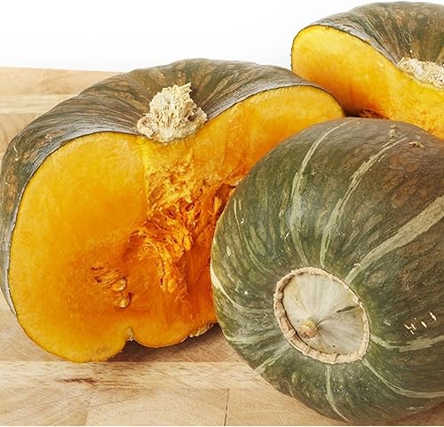 Semillas de calabaza de invierno para plantar Planta y cultivar calabaza ranúnculo Burgess Instrucciones para plantar herencia sin OMG en casa