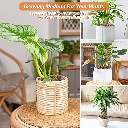 Miniatura 42 de Riare Guijarros de arcilla expandida orgánica de 14 libras para plantas, bolas de leca natural de 0.157 a 0.630 pulgadas, ligeras piedras