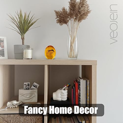 Miniatura 5 de VEOJEIN Jurassic Mosquito in Amber  Insecto 2D detallado recubierto de resina duradera. Perfecto para coleccionistas y entusiastas  pisapapeles,