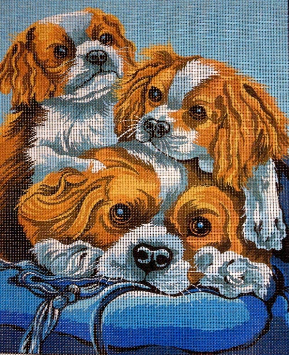 Point de croix débutant chiots 20x25cm tapisserie coton kit broderie 5D