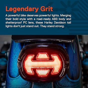TRUE MODS LED Brake Tail Light for Harley Davidson Arrow Design Smoked Red
