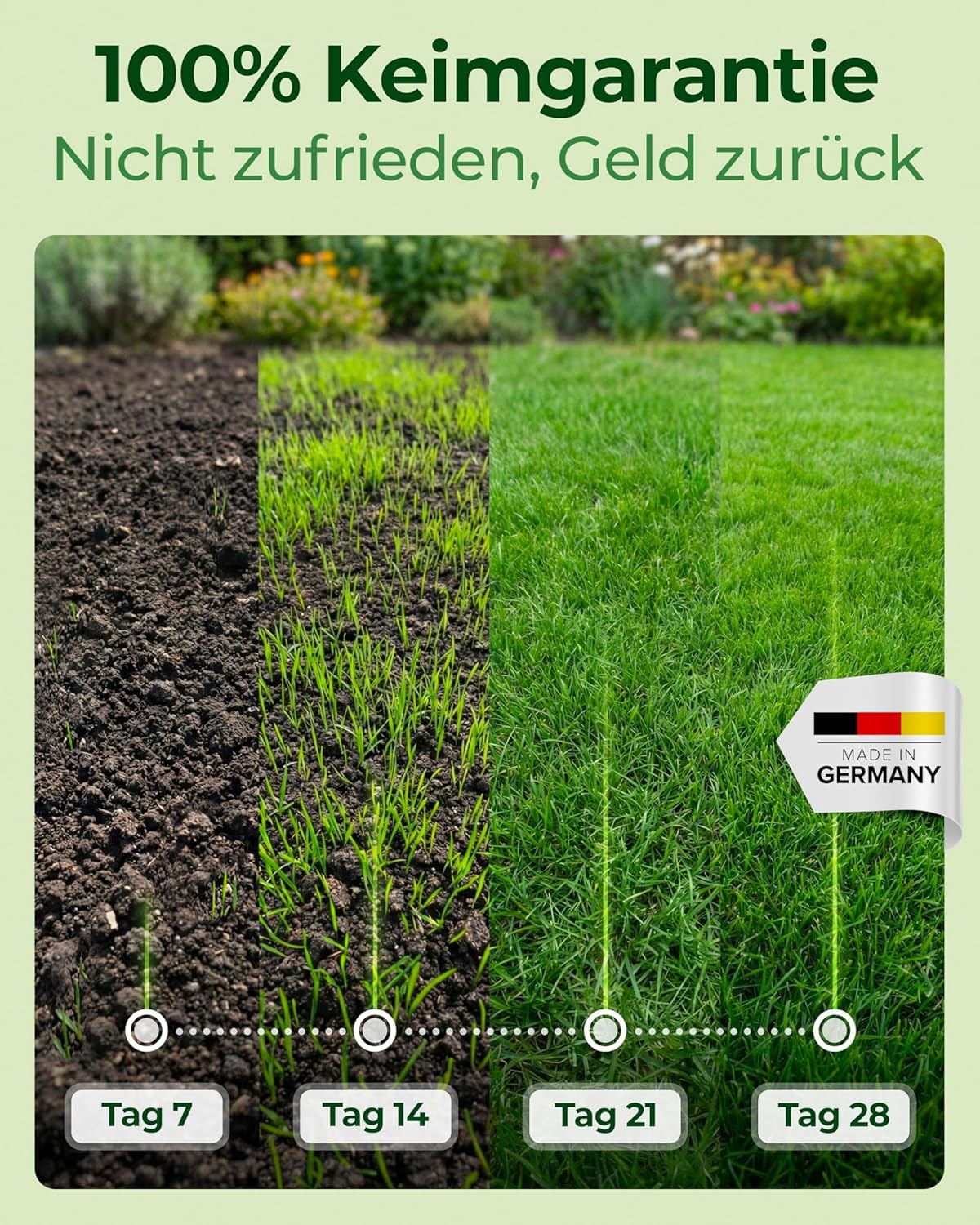 Rasensamen schnellkeimend Sommer 1kg – TEST SEHR GUT – Grassamen schnellkeimend Rasen Nachsaat Made in Germany – Rasensaat 40qm - Rasensamen Sommer Samen von Natureflow