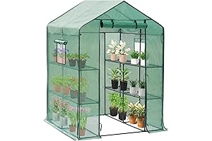 Amazing Walk-In Greenhouse for Unparalleled Plant Care in Your Backyard
