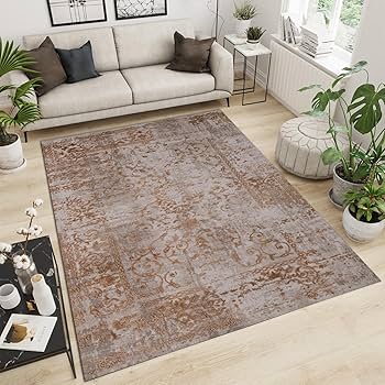 Amazon.com: TAZECE Retro Mid-Century Area Rugs, Modern