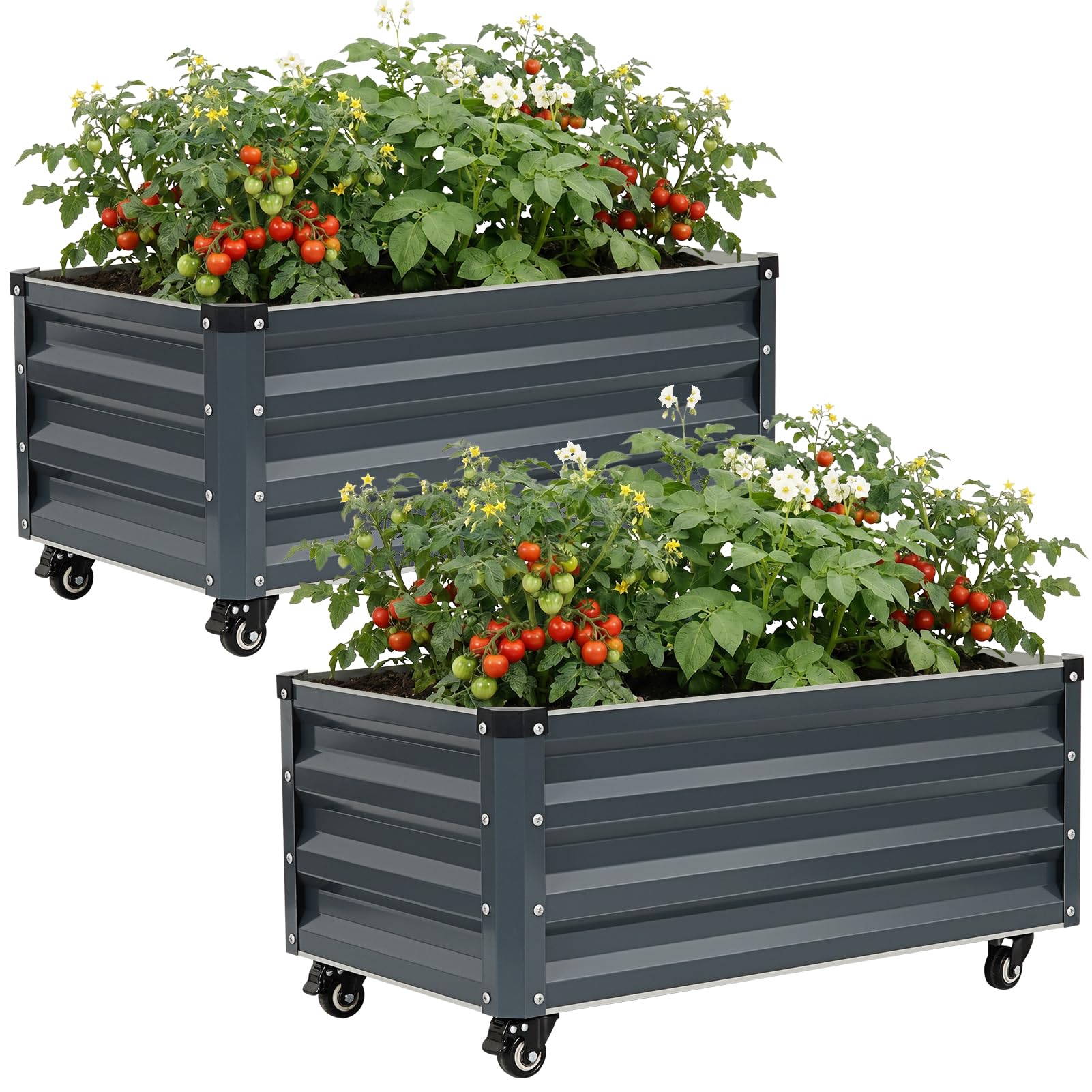 Raised Garden Bed with Wheels, 31.5" x 17.7" Metal Elevated Planter Box with Drip Tray, Mobile Raised Garden Bed with Lockable Metal Casters for Vegetables, Herbs & Flowers (2, Iron Grey)