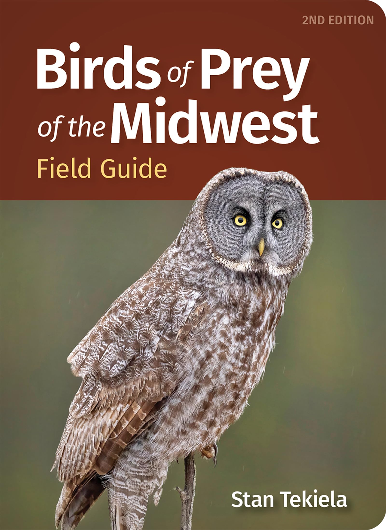 Birds of Prey of the Midwest Field Guide (Bird Identification Guides)