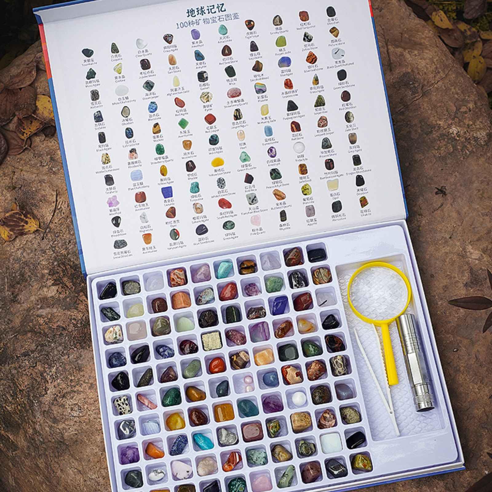 Kit de Geología para Niños 100 Piedras Preciosas con Linterna y Lupa - Colección Educativa de Minerales para Aprendizaje