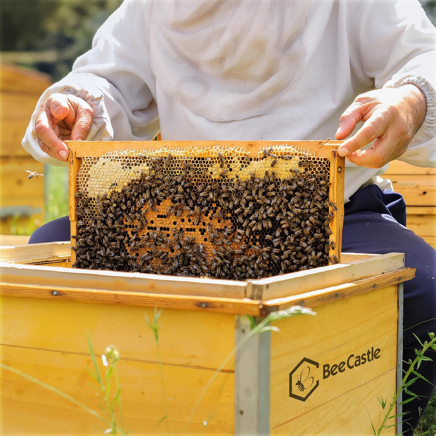 BeeCastle Yellow Beehive Wax Coated Foundation Sheet, Waxed Honey Comb Foundations for Beehives, 8-1/2-Inch Deep Beehive Frames - Image 5