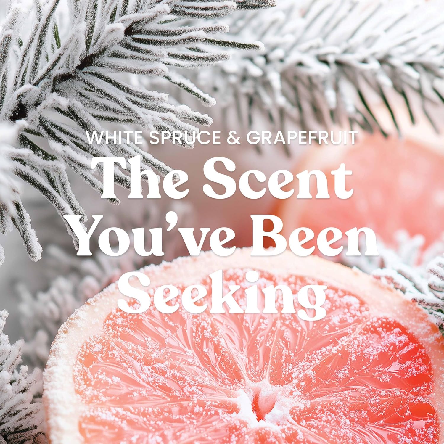 Yankee Candle Large 22oz Jar - White Spruce & Grapefruit Scented Candle with Up to 150 Hours of Burn Time, Perfect for Gifting 2 Yankee Candle Large 22oz Jar - White Spruce & Grapefruit Scented Candle with Up to 150 Hours of Burn Time, Perfect for Gifting - Image 2