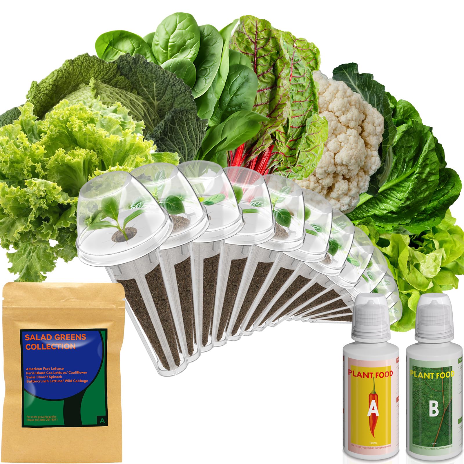 inbloom Salad Green Seed Pod Kit for AeroGarden, Ahopegarden, GARDENCUBE, MUFGA, 12 Pods (350+ Seeds with American Fast/Paris Island/Buttercrunch