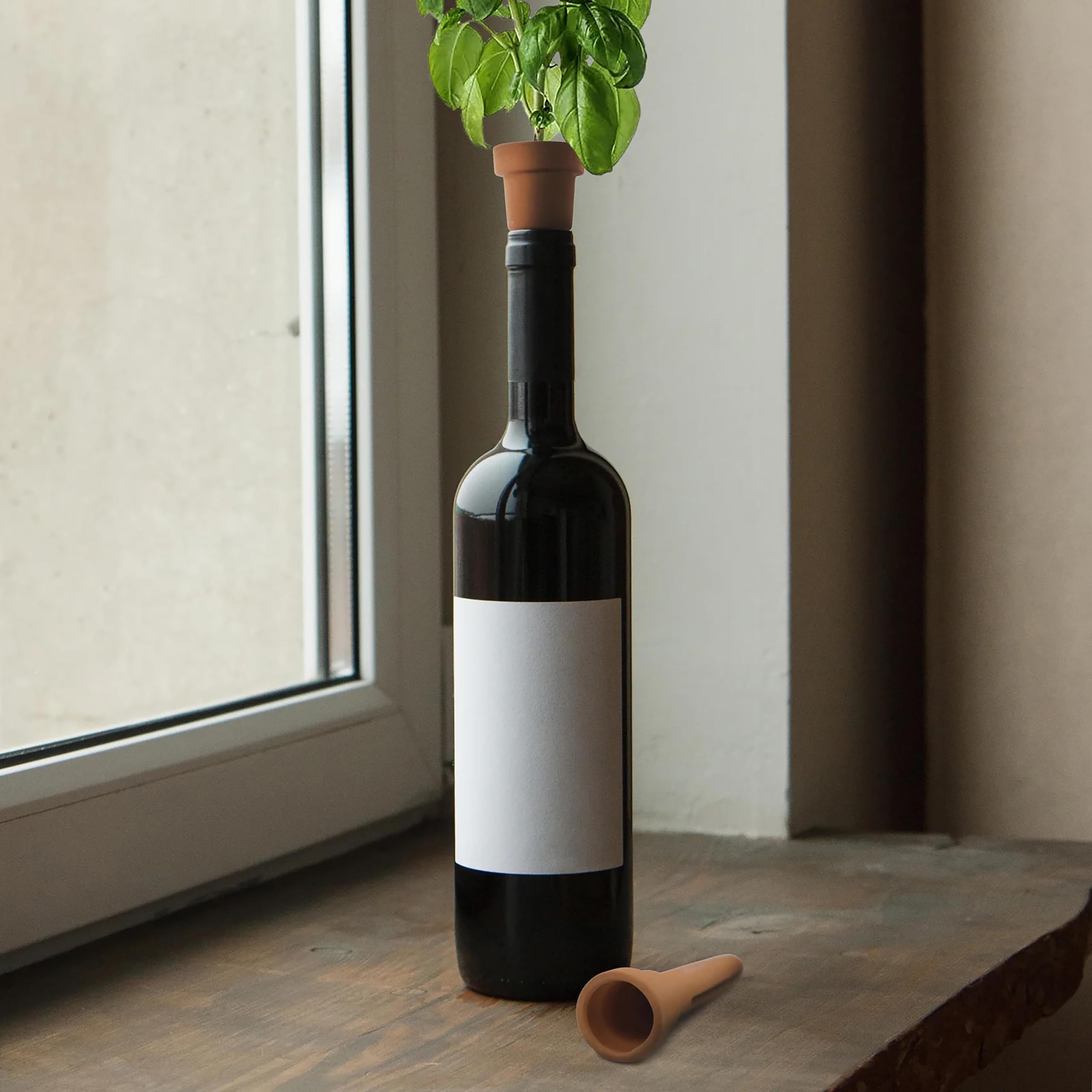 Amazon.com: Kikkerland Herb Planters Bottle Top, 1 EA : Patio, Lawn & Garden
