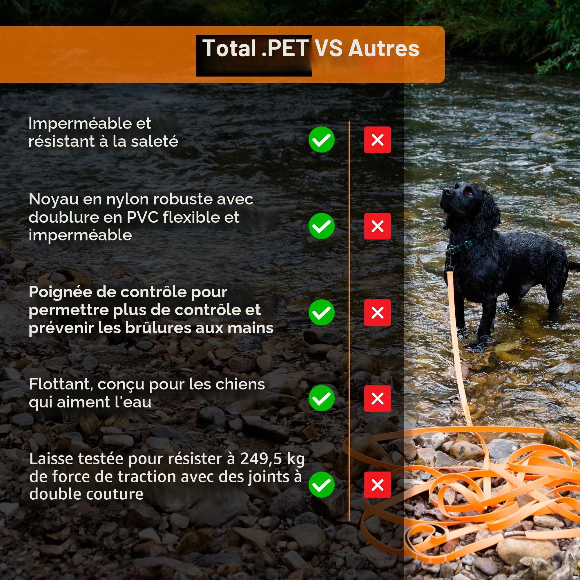 Total Pet Laisse de dressage pour chiens, longue ligne imperméable pour rappel et dressage d'obéissance – Laisse extra longue pour chien – Convient à toutes les tailles de chiens (10 m, clip standard)