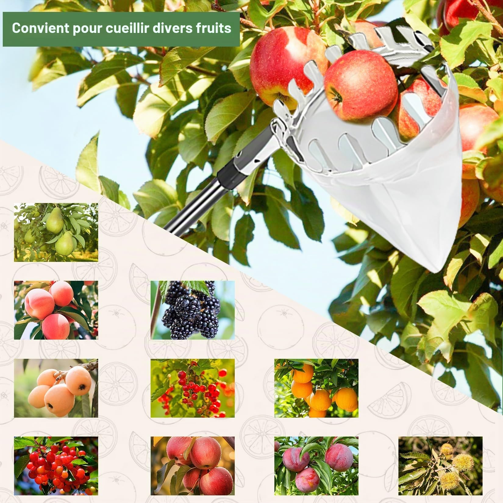 Idota Cueille Fruit Telescopique 4M Ramasse Pomme avec Perche Télescopique INOX et Sac Diamètre 16 cm Cueille Fruit pour Cerises Pommes Poires