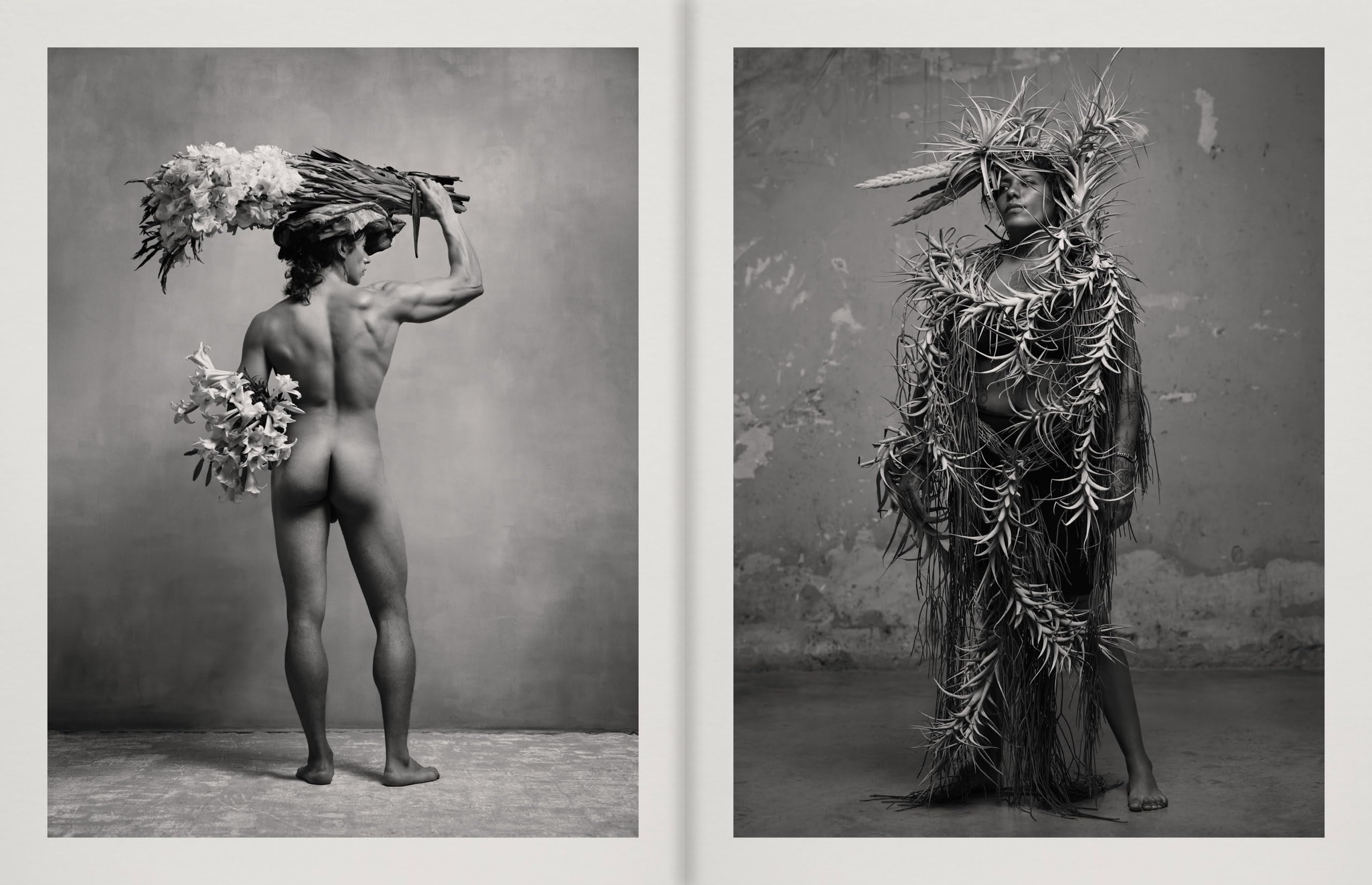 Pieter Henket: Birds of Mexico City
