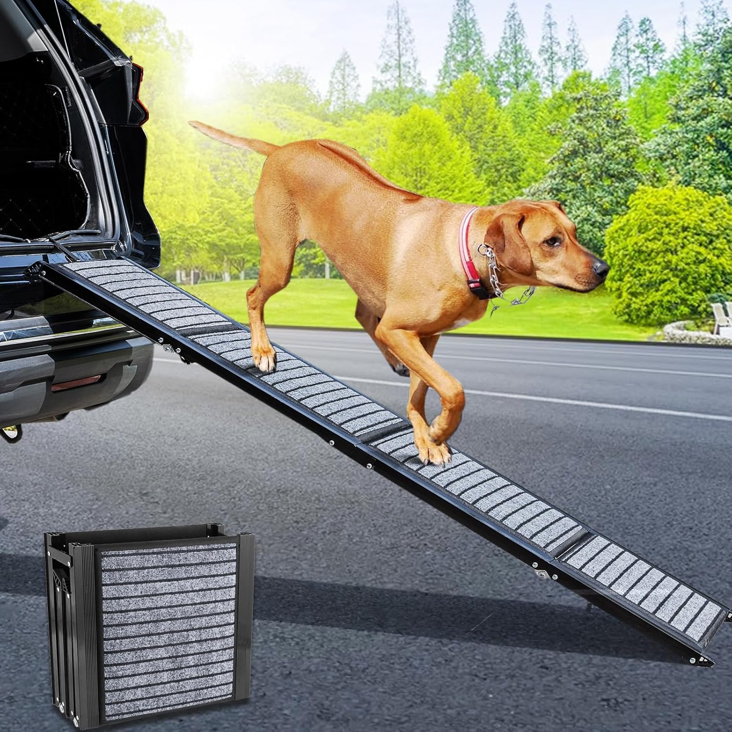 62" L Foldable Dog Ramps Large Dogs, Dog Car Ramp with Non-Slip Rug Surface, Pet Ramp Stairs Portable, Lightweight Dog Steps for Small Medium & Large Dogs Up to 200LBS Get Into a Car, SUV & Truck