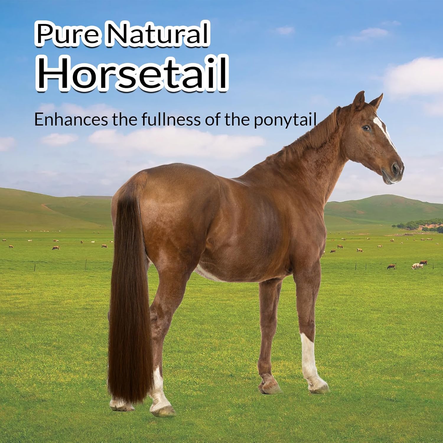 33.5 IN Long 1 LB Horse Tail Extensions with Natural Loop Top & Blunt Cut Bottom (Medium Chestnut)