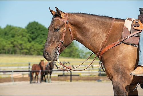Miniatura 3 de Weaver Leather Banda Stacy Protack B unisex para adultos, estilo ecuestre, marrón, talla única de EE. UU