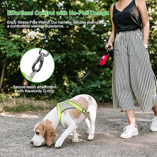 Miniatura 5 de Arnés LED para perro, chaleco de arnés para perro con luz recargable por USB, 2 modos de iluminación que brillan en la oscuridad, arnés para perro