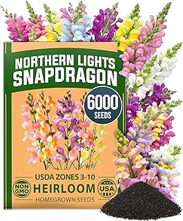 HOME GROWN Northern Lights Snapdragon Seeds (~6,000) – Lavender, Pink,...