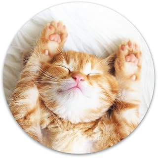Atufsuat Mouse Pad, Premium-Textured Small Round Mousepad 7.9 x 7.9 Inch, Cute Mouse pad for Wireless Mouse, Waterproof Non-Slip Rubber Base Mouse Mat for Laptop PC Office Women Men Kids, Cat