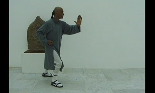 Tai Chi Pro Series Chapter 1