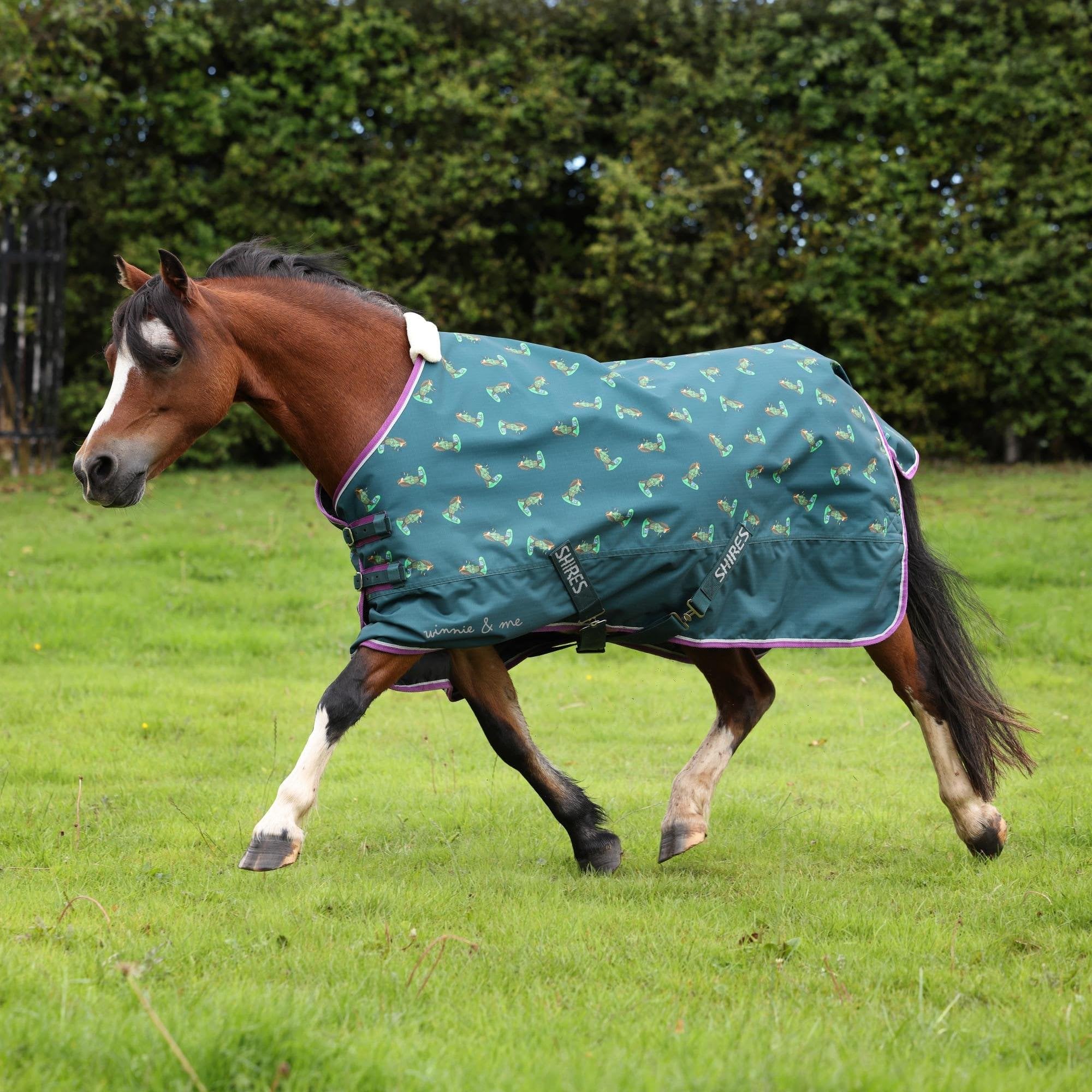 Shires Winnie & Me 100g Turnout Rug - Green 4ft6