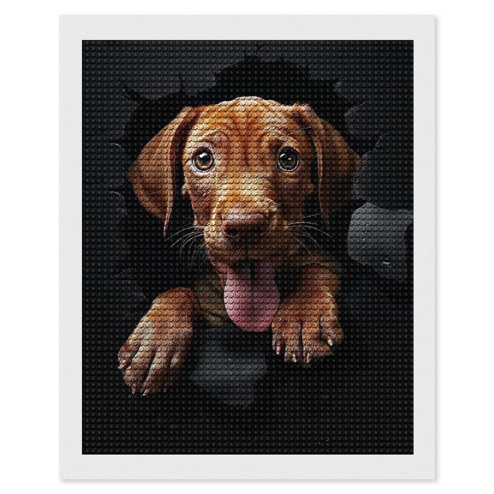 Junmoney Vizsla Diamond Art Kit 16"x20", Bedroom Decor, Adhesive Canvas, Full Kit Included, Thoughtful Present, Birthday Gift