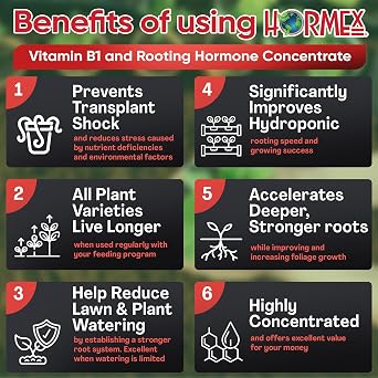 Hormex Liquid Rooting Hormone Concentrate with B1 Root Growth Stimulator for Strong, Healthy Plants - Prevents Transplant Shock - Houseplants, Gardens, Hydroponics, Trees, Fruits & Vegetables, 128oz