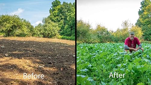 Miniatura 5 de Whitetail Institute Vision Deer Food - Semillas de parcela para plantar en otoño, mezcla perenne de trébol, achicoria y col rizada para atraer y