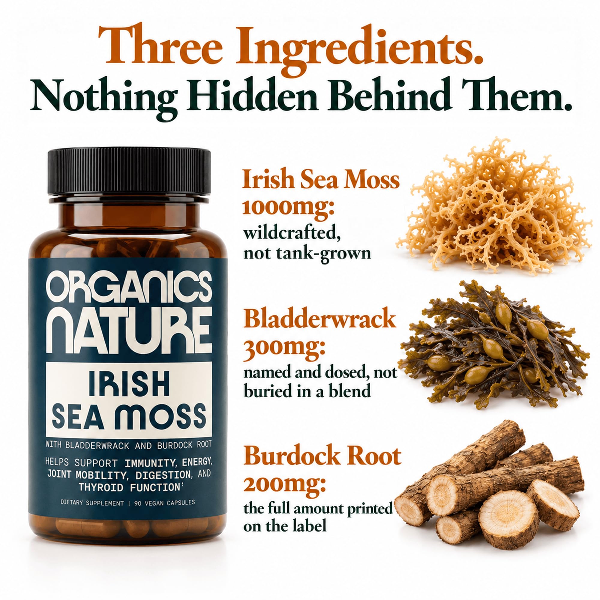 ORGANICS NATURE Irish Sea Moss Capsules, with Bladderwrack, Burdock, 90 Ct — Amazon image 3