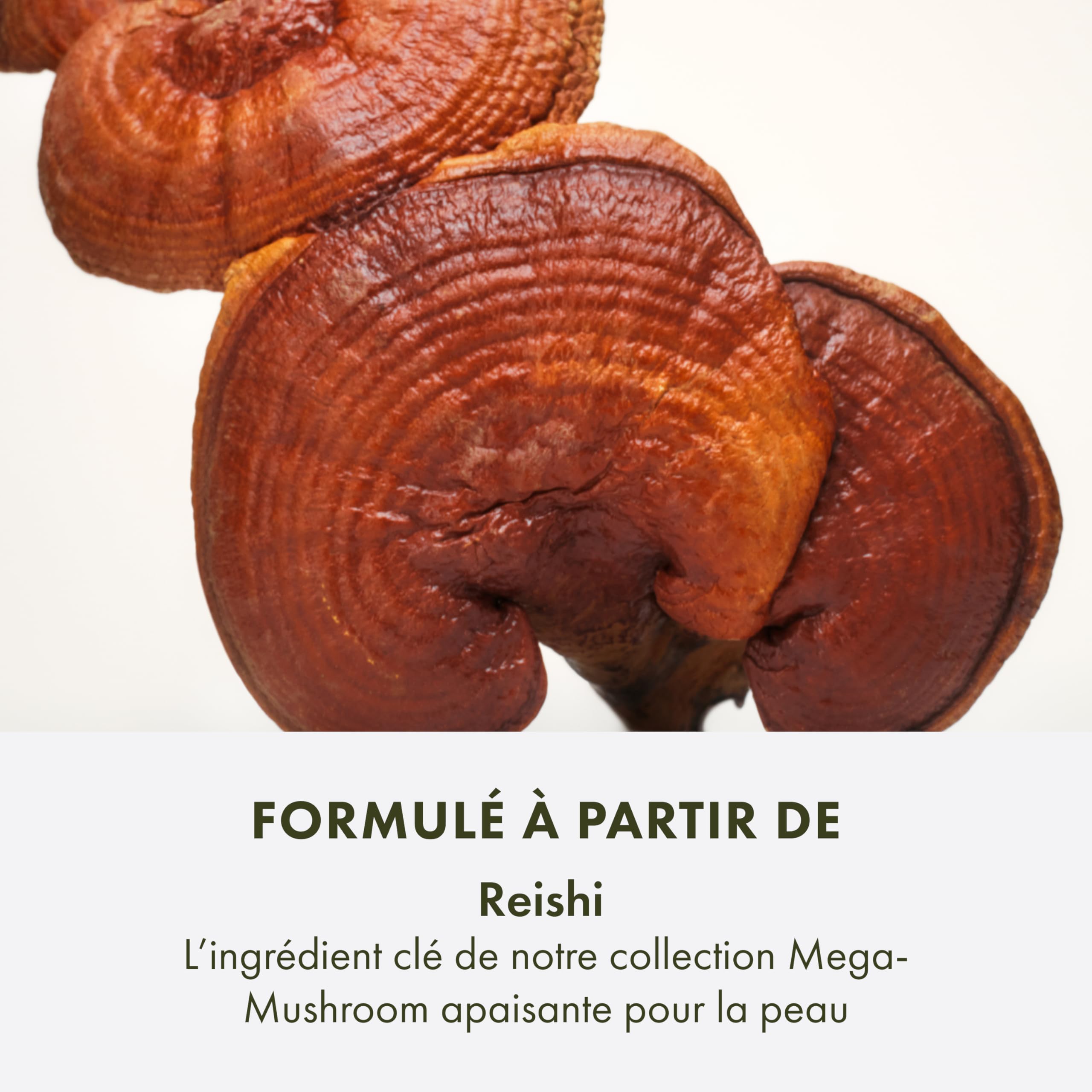 Origins Eau Micellaire Visage et Yeux Mega-Mushroom Skin Relief, Pour les peaux sensibles, Contient du champignon Reishi, 200 ml