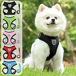 Conjunto de coleira e coleira ultrafina, respirável, sem puxar, colete refletivo para cães pequenos e médios - caminhada, corrida, acampamento - serve para maltês, chihuahua, poodle, shih tzu (preto