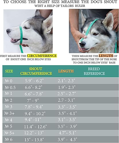 Miniatura 10 de Bozales de metal cromado para perros, correas de cuero ajustables (6), la circunferencia es de 13-13.8 pulgadas, la longitud es de 3.9-4.3 pulgadas,