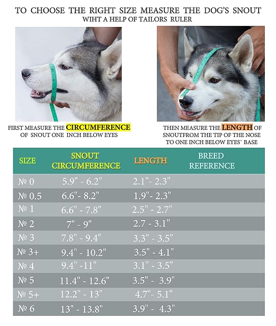 Foto 4 de 8 de PetriStor - Bozal de Metal Cromado para Perro, Cesta de Alambre con Correas de Piel Ajustables