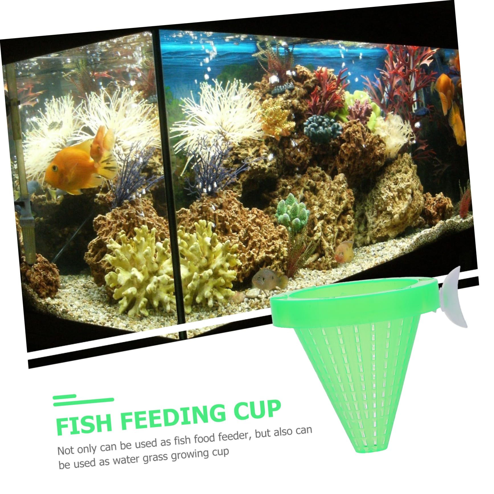 SUPVOX Low Maintenance Plastic Fish Feeder Automatic Floating Feeder with Suction Cups for Aquariums