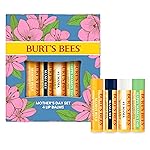 Burt\'s Bees Gifts Ideas - Balm Bouquet Lip Balm Set, Original Beeswax, Vanilla Bean, Cucumber Mint, Coconut & Pear Pack, Natural Origin Lip Treatment, 4 Tubes, 0.15 oz.