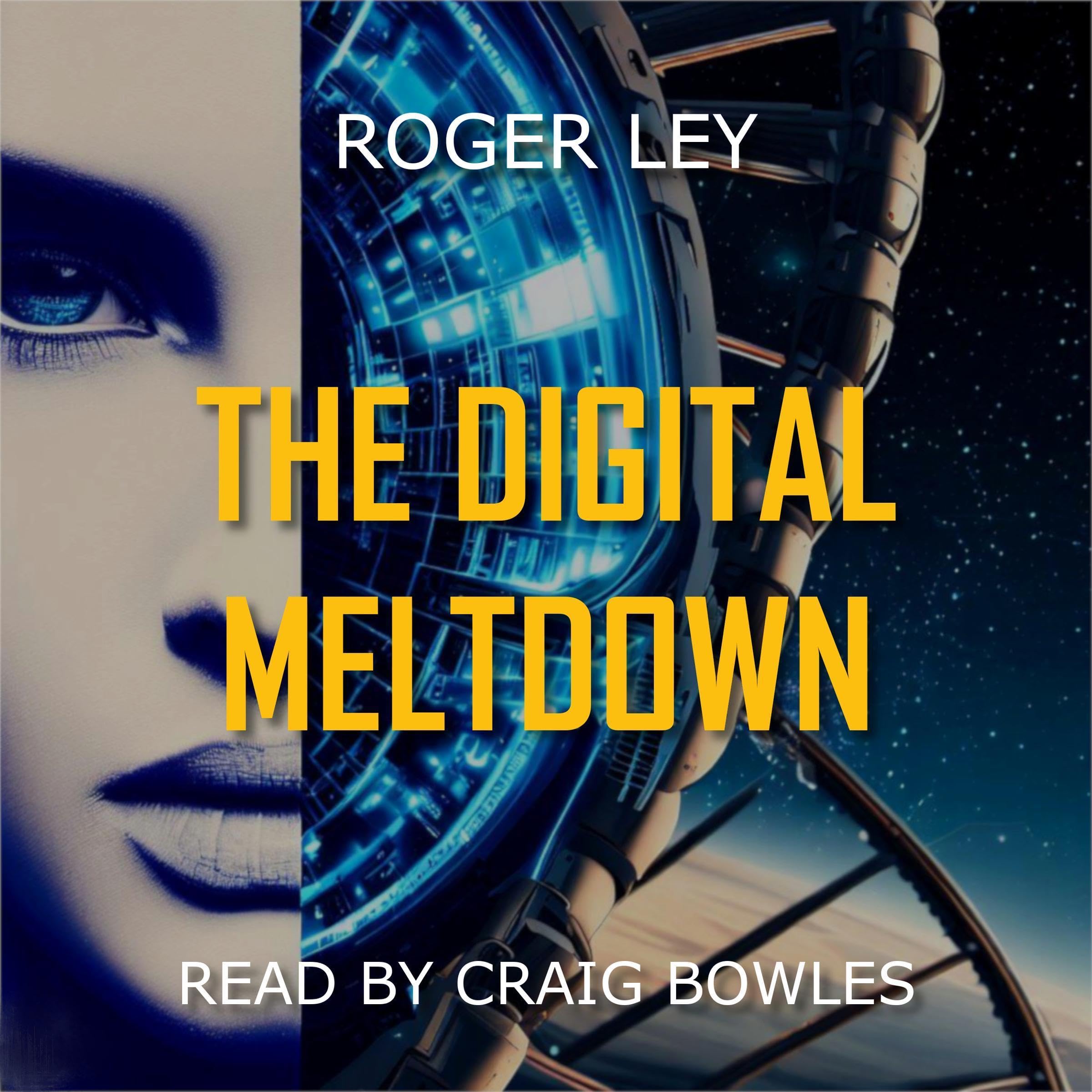 The Digital Meltdown