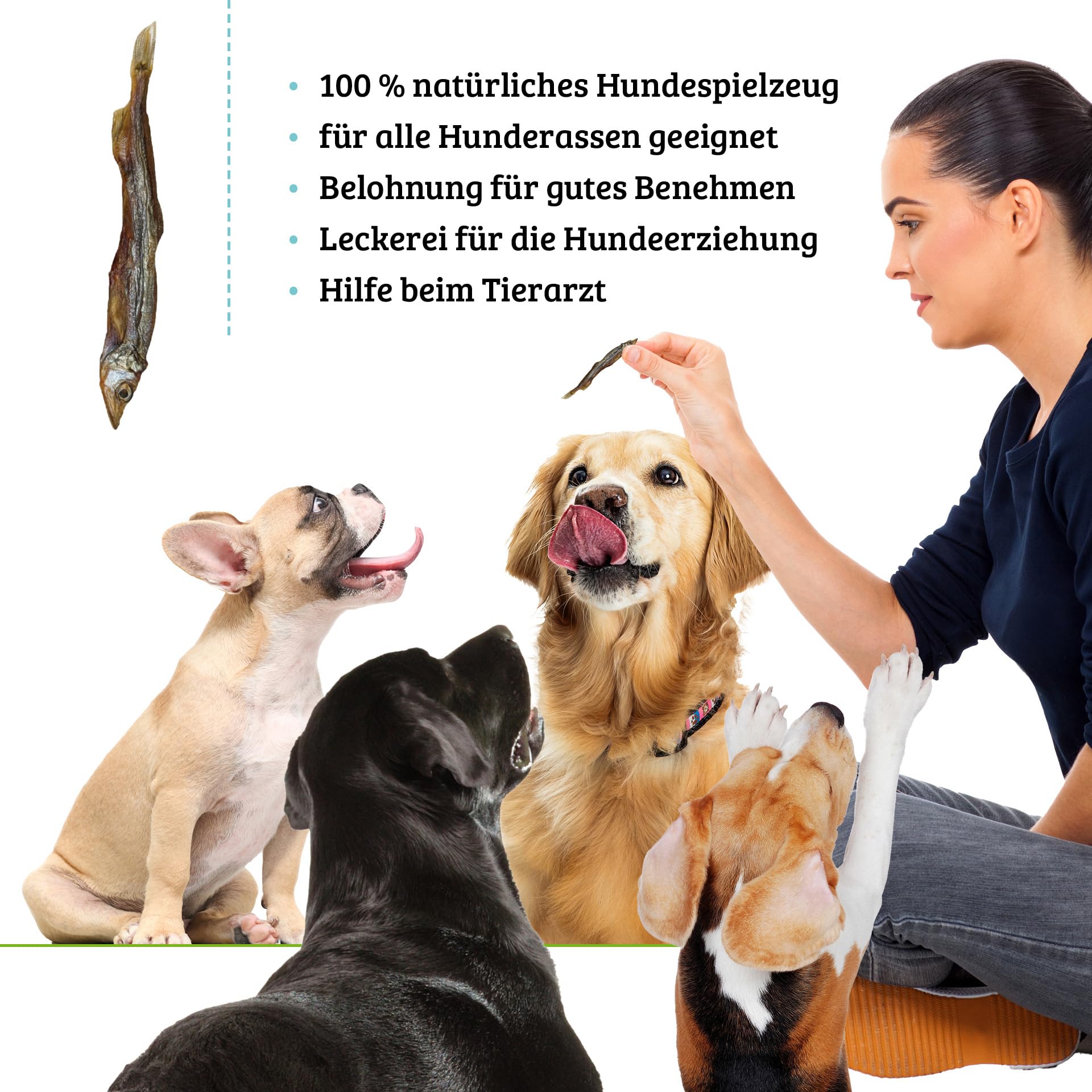UGF - Poisson séché pour Chiens - 460 g en Seau de 3 litres, friandises pour Chiens, sans céréales, Poisson séché, hypoallergénique, diététique, friandises d'entraînement, à mâcher