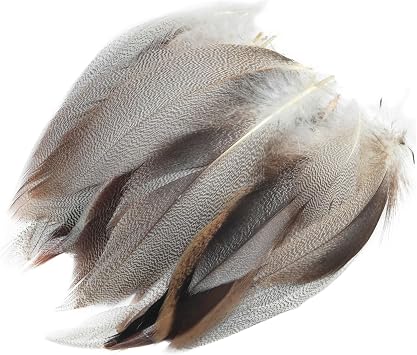 LUORNG 50 PCS ريش البط 8-13 CM ريش أغطية الرأس بروش قبعة حذاء الديكور ل DIY اليدوية الملابس والمجوهرات المرحلة الدعائم زي بطاقة صنع أقنعة حفلة الهالوين