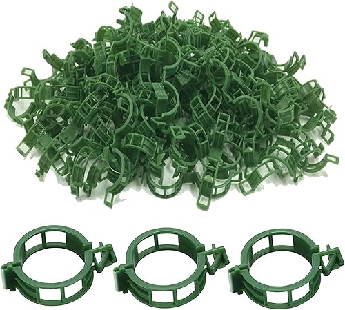 QueenBird Clips para plantas, 200 unidades, color verde o blanco, clips de jardín para tomate y otras plantas de vid - Clips de enrejado - Soporte