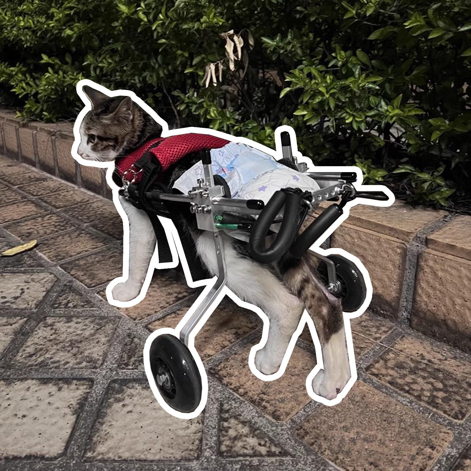 CMYUN Dog Wheelchair Extra Small Cat Wheelchair, Lightweight Cats/Rabbits/Dog Wheelchair for Back Legs, Cat Exercise Wheels Rehabilitation Aid, Easy to Move(X-Small)